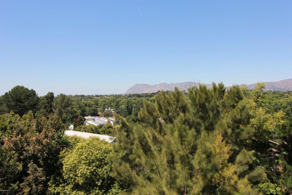 Alphen Drive Apartments Cape Town Bagian luar foto